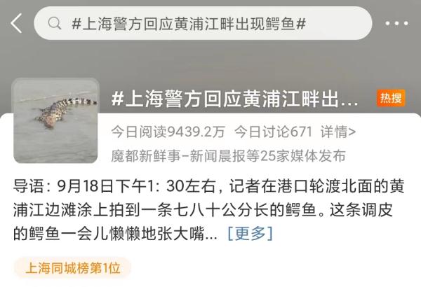 黄浦江边有鳄鱼晒太阳！是何品种、会不会伤人？专家判定