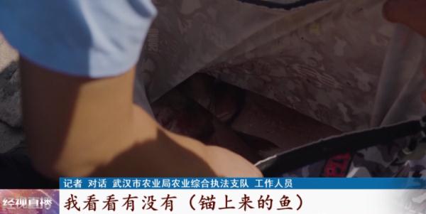 武汉长江边垂钓火了？执法人员：这些行为违规！