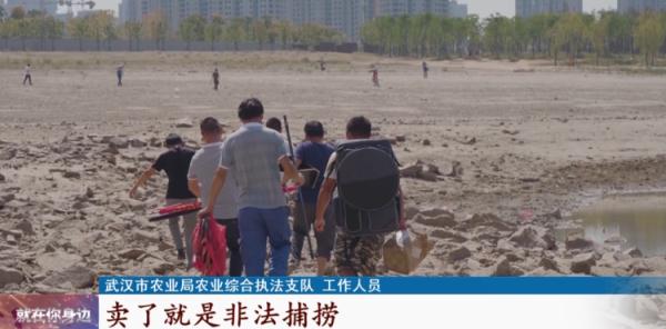 武汉长江边垂钓火了？执法人员：这些行为违规！