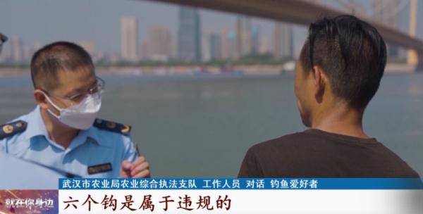 武汉长江边垂钓火了？执法人员：这些行为违规！