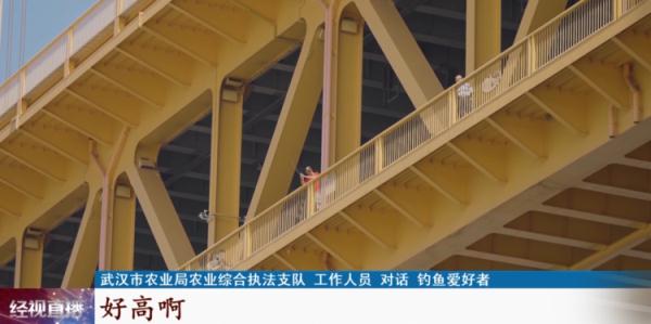 武汉长江边垂钓火了？执法人员：这些行为违规！