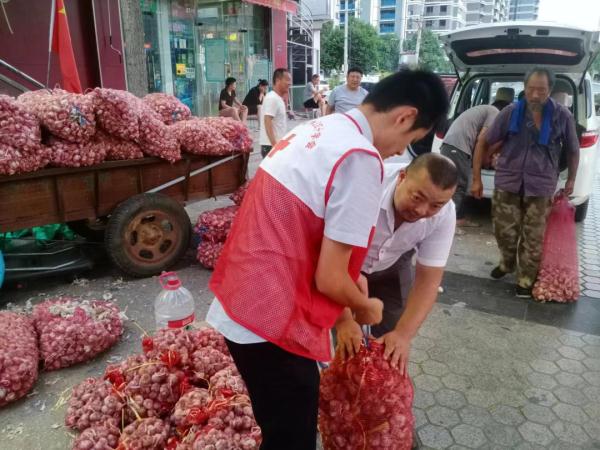8000斤蒜3天卖完！郑州街头“卖蒜救孙”的老黑有人帮了！