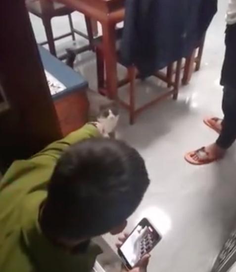 男子养了8年的猫走失，邻居捡到拒还并索赔6000多，律师解读