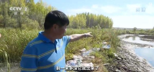 哈尔滨一鱼塘潜伏百斤巨蟒!它从哪儿来的? 哈尔滨一鱼塘潜伏百斤巨蟒!它从哪儿来的?