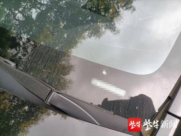 前方货车一路掉石子，砸坏后面车辆挡风玻璃