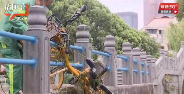 煞风景！沪一公园有神秘物体深入湖底，仔细一看竟然是TA