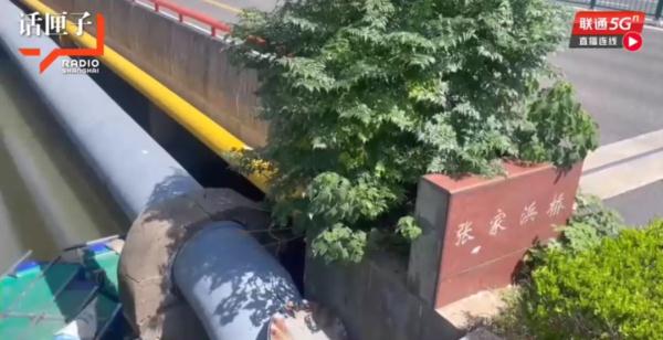 煞风景！沪一公园有神秘物体深入湖底，仔细一看竟然是TA