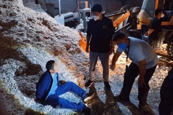 中华大蟾蜍险些成为“熏拉丝”？食用野生动物存在这些隐患！