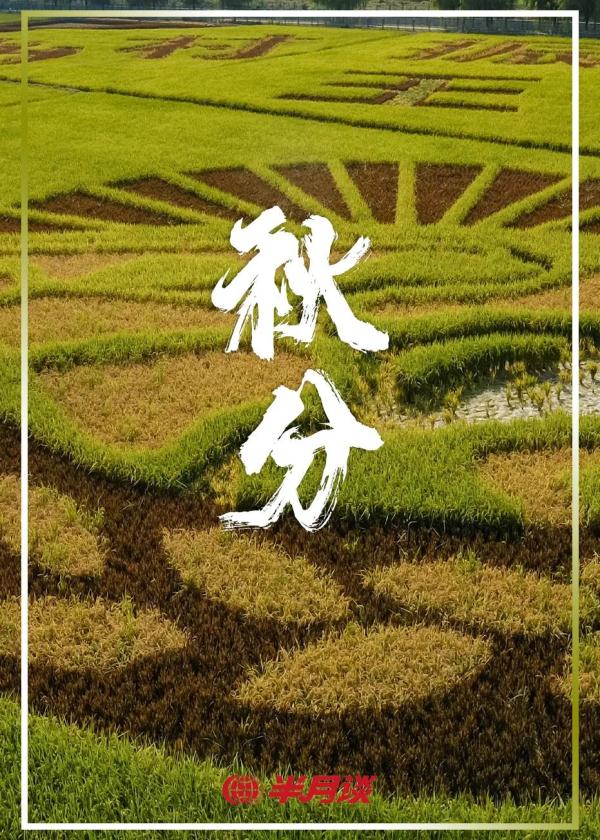 秋分，有个更有名的“同义词”