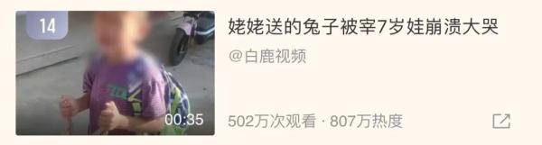 爹煮了孩子当宠物养的大闸蟹，还问暴风哭泣的孩子：“什么味道”？
