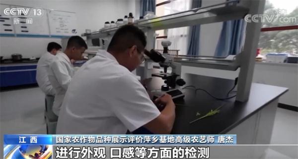 在希望的田野上·丰收中国 | 金黄是丰收的底色 祖国多地秋收忙 在希望的田野上·丰收中国 | 金黄是丰收的底色 祖国多地秋收忙