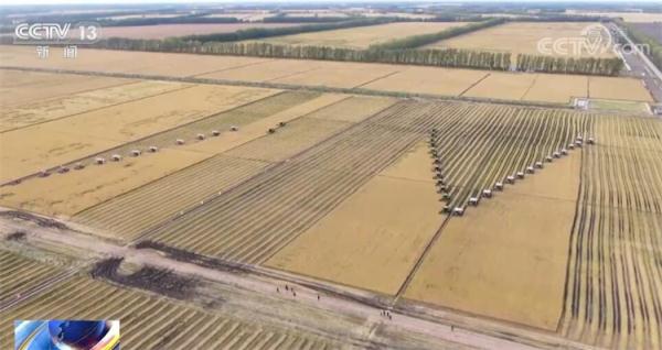 在希望的田野上·丰收中国 | 金黄是丰收的底色 祖国多地秋收忙 在希望的田野上·丰收中国 | 金黄是丰收的底色 祖国多地秋收忙