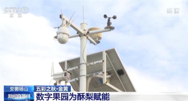 在希望的田野上·丰收中国 | 金黄是丰收的底色 祖国多地秋收忙 在希望的田野上·丰收中国 | 金黄是丰收的底色 祖国多地秋收忙