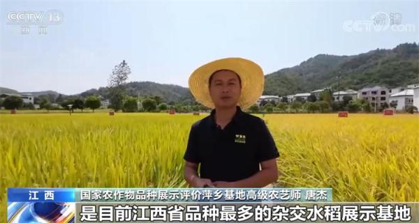 在希望的田野上·丰收中国 | 金黄是丰收的底色 祖国多地秋收忙 在希望的田野上·丰收中国 | 金黄是丰收的底色 祖国多地秋收忙