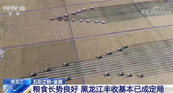 在希望的田野上·丰收中国 | 金黄是丰收的底色 祖国多地秋收忙 在希望的田野上·丰收中国 | 金黄是丰收的底色 祖国多地秋收忙