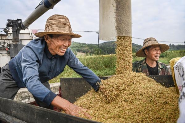 镜观中国｜科技赋能中国农民的丰收年