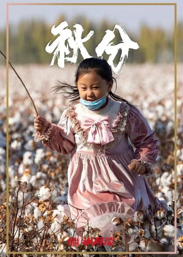 秋分，有个更有名的“同义词”