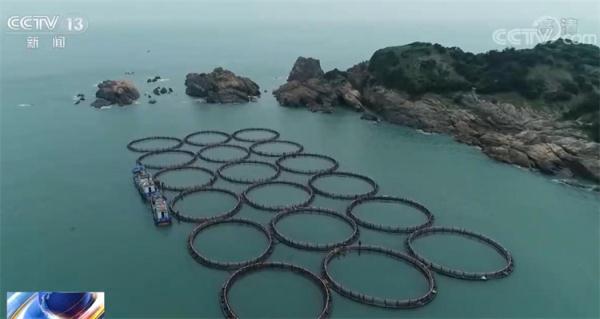 我国多地“海上粮仓”迎丰收 智能化技术填补多项空白 我国多地“海上粮仓”迎丰收 智能化技术填补多项空白