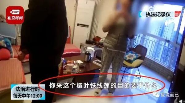 山上摘几朵野花会坐牢吗？网友：真刑