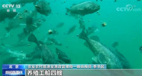 我国多地“海上粮仓”迎丰收 智能化技术填补多项空白 我国多地“海上粮仓”迎丰收 智能化技术填补多项空白