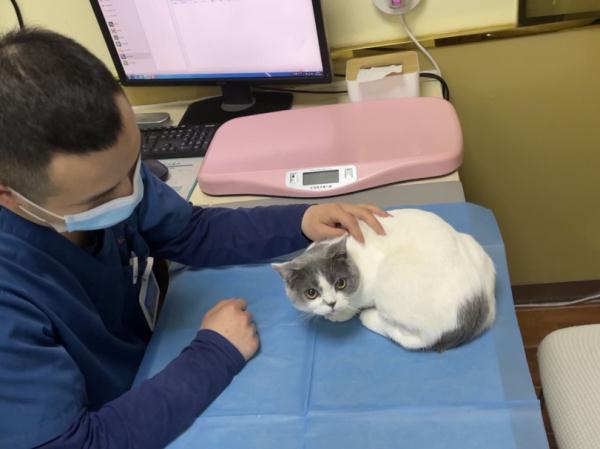 科学养宠观念催生宠物保险需求增长 科学养宠观念催生宠物保险需求增长