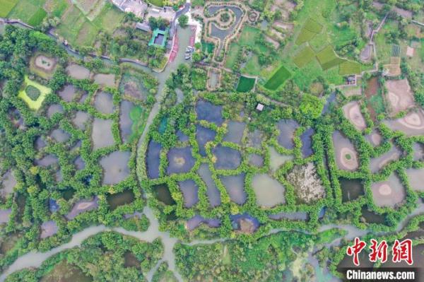 航拍广西桂林“漓江之肾” &nbsp;白鹭与落日齐飞