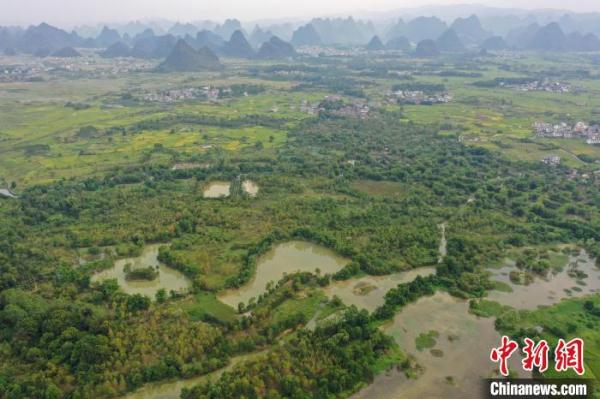 航拍广西桂林“漓江之肾” &nbsp;白鹭与落日齐飞