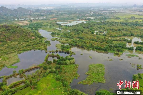 航拍广西桂林“漓江之肾” &nbsp;白鹭与落日齐飞