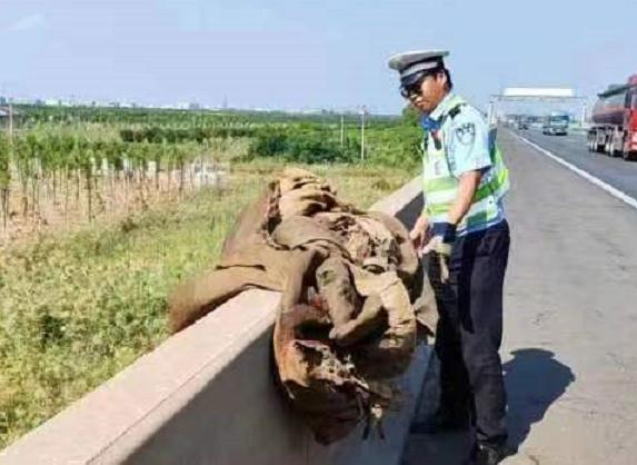 如何应对高速公路上的“障碍物”？