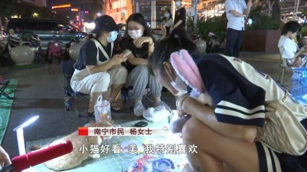 猫咪“摆烂式”营业走红！女子记录摆摊日常吸粉无数