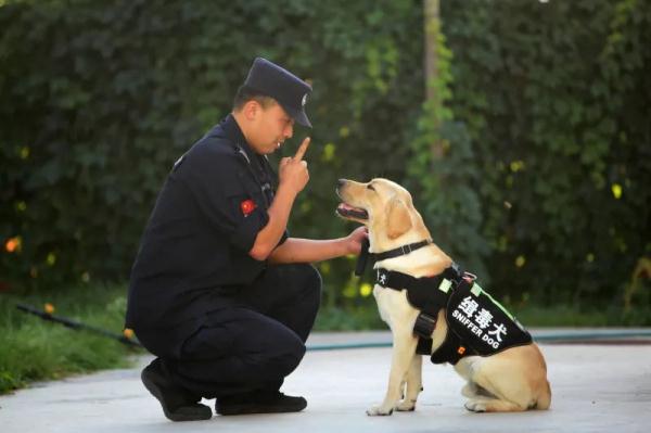 看!“汪汪队”这样守护国门 看!“汪汪队”这样守护国门