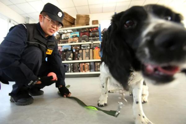 看!“汪汪队”这样守护国门 看!“汪汪队”这样守护国门