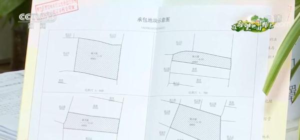 在希望的田野上·一线调研 | “小田”变“大田” 化零为整促增收