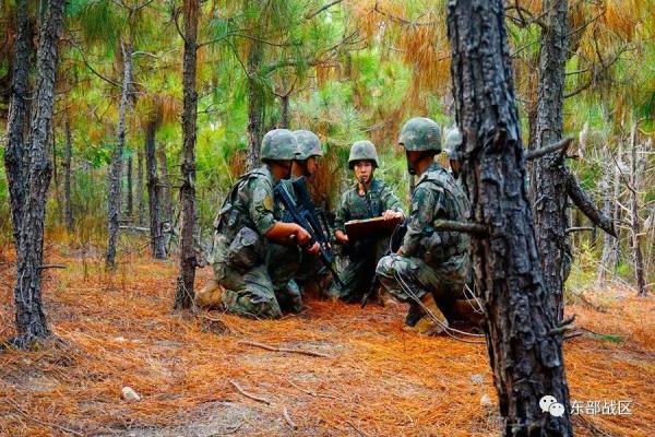 新晋军士,集合! 新晋军士,集合!