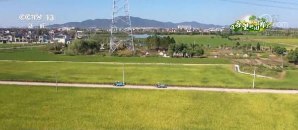 在希望的田野上·一线调研 | “小田”变“大田” 化零为整促增收