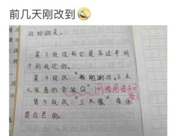 “栓Q”“666”……网络用语出现在小学生试卷上，学者：培养孩子的“雅言”非常重要