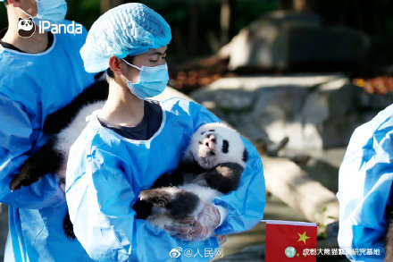 来了！2022级熊猫宝宝集体照