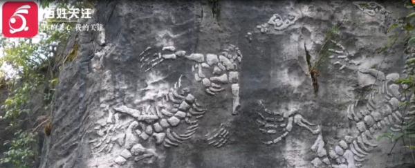 贵州一公园惊现2亿年前“贵州龙”化石？真实情况是……