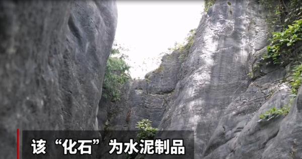 贵州一公园惊现2亿年前“贵州龙”化石？真实情况是……