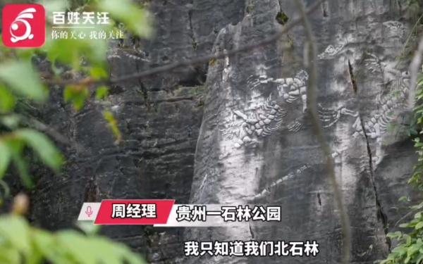 贵州一公园惊现2亿年前“贵州龙”化石？真实情况是……