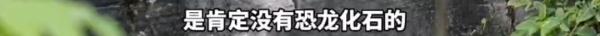 贵州一公园惊现2亿年前“贵州龙”化石？真实情况是……
