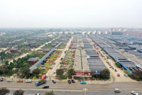 常州武进:花木产业的乡村振兴路越走越宽 常州武进:花木产业的乡村振兴路越走越宽