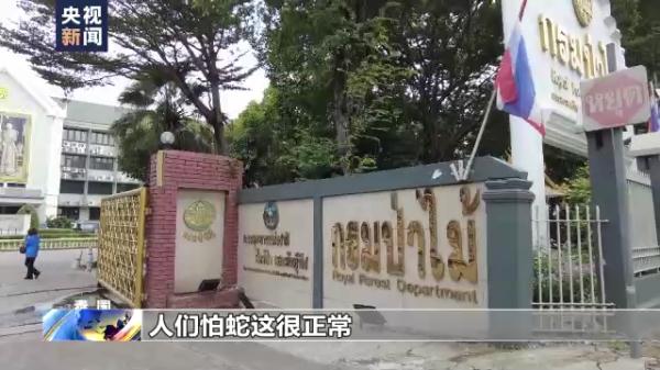 泰国曼谷蛇灾严重 总台记者跟拍消防队抓蛇 泰国曼谷蛇灾严重 总台记者跟拍消防队抓蛇