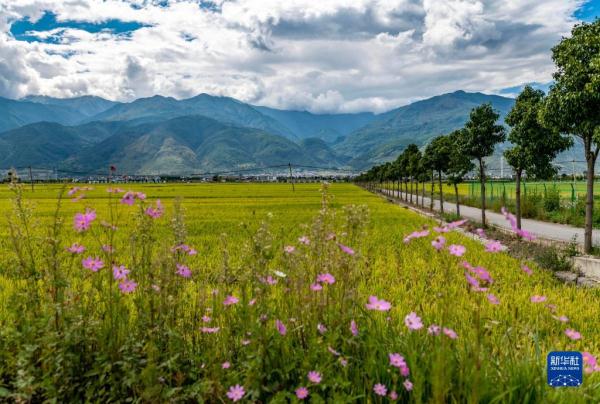苍山洱海风景如画 苍山洱海风景如画