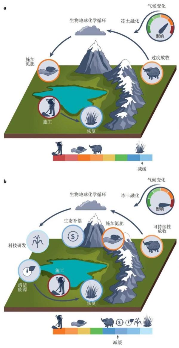 研究所供图)在未来继续经历变暖和降水增加的趋势下,青藏高原会更绿色