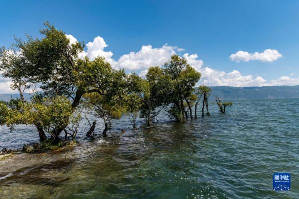 苍山洱海风景如画 苍山洱海风景如画