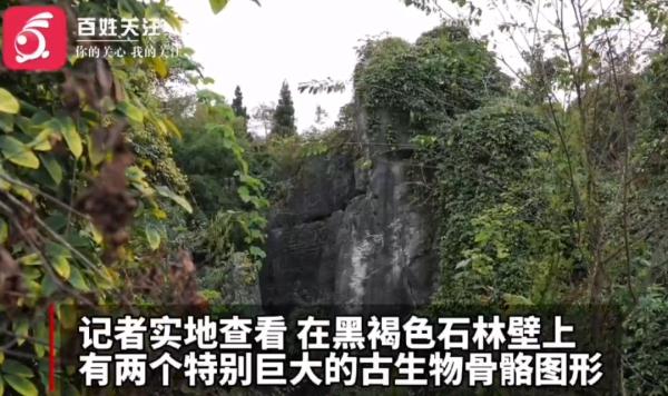 贵州一公园惊现2亿年前“贵州龙”化石？真实情况是……