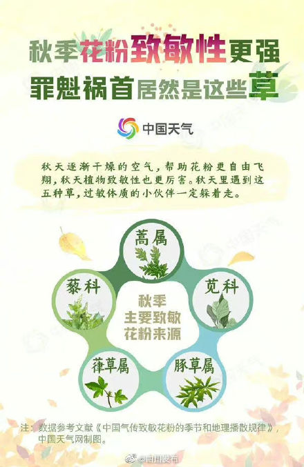 注意“秋天的第一个喷嚏”！花粉过敏地图→
