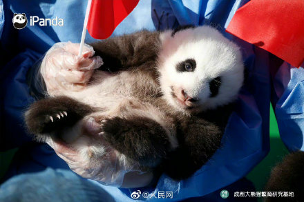 来了！2022级熊猫宝宝集体照
