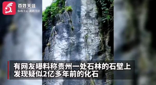 贵州一公园惊现2亿年前“贵州龙”化石？真实情况是……